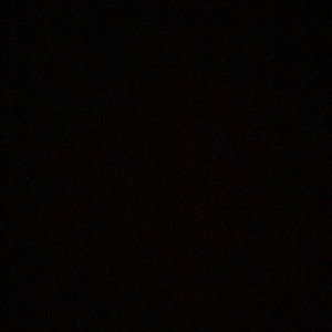 Meet your Posher, Amelie